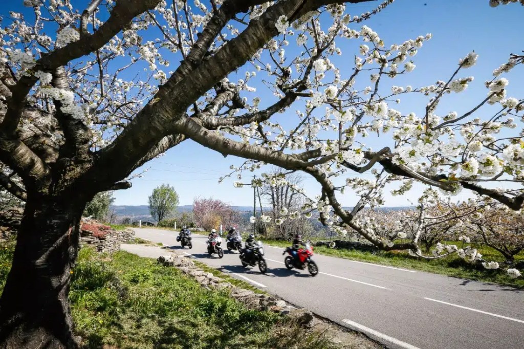 Marché moto avril 2025 : légère reprise après un début d’année&nbsp;difficile